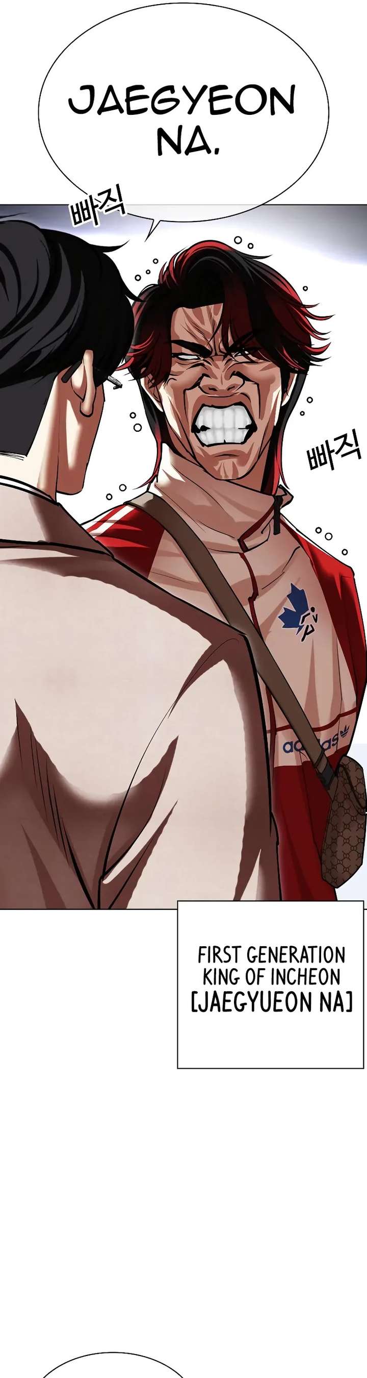 Lookism Chapter 493 - Page 17