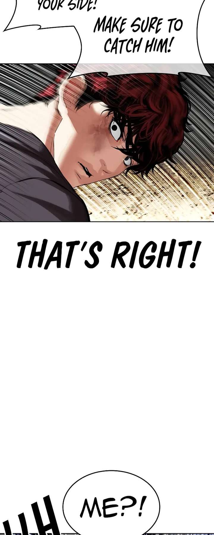 Lookism Chapter 495 - Page 29