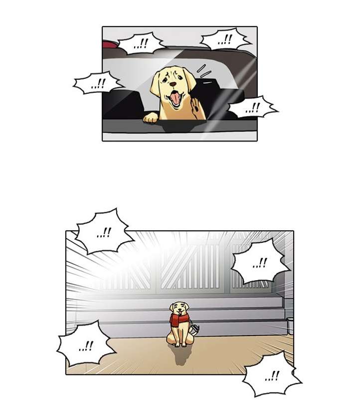 Lookism Chapter 58 - Page 13