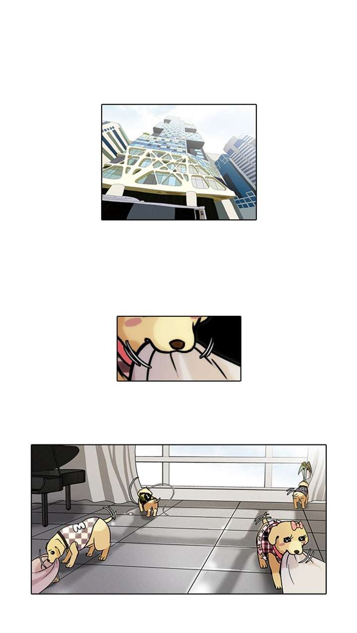 Lookism Chapter 69 - Page 1