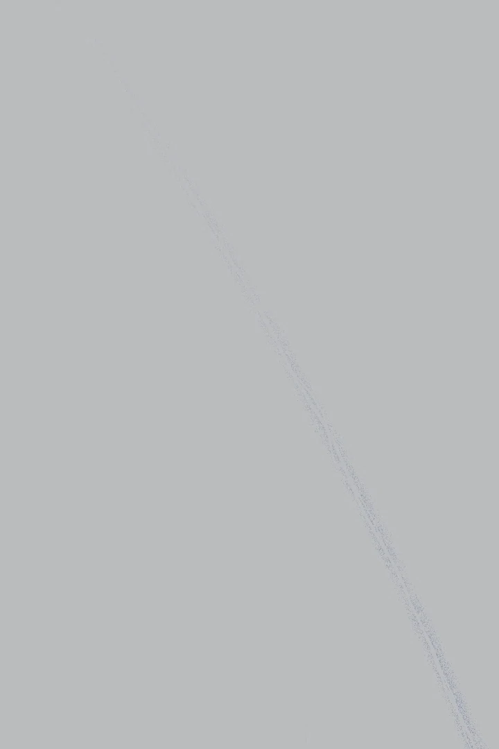 In the Doghouse Chapter 76 - Page 81