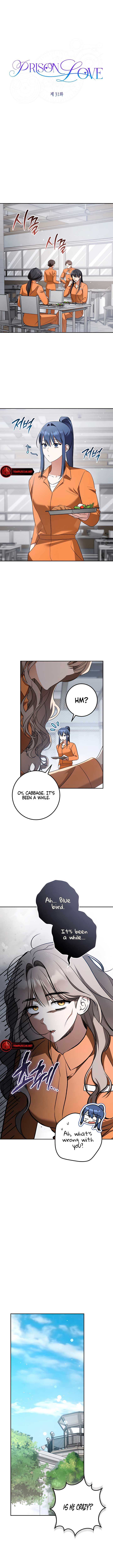 Prison Love Chapter 31 - Page 3