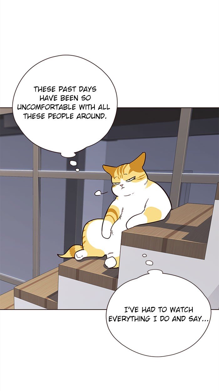 Eleceed Chapter 35 - Page 42