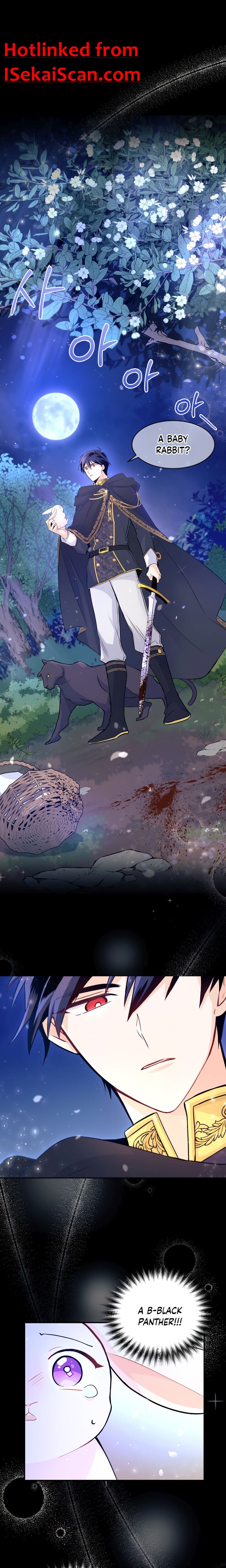 The Symbiotic Relationship Between the Rabbit and the Black Panther Chapter 1 - Page 1