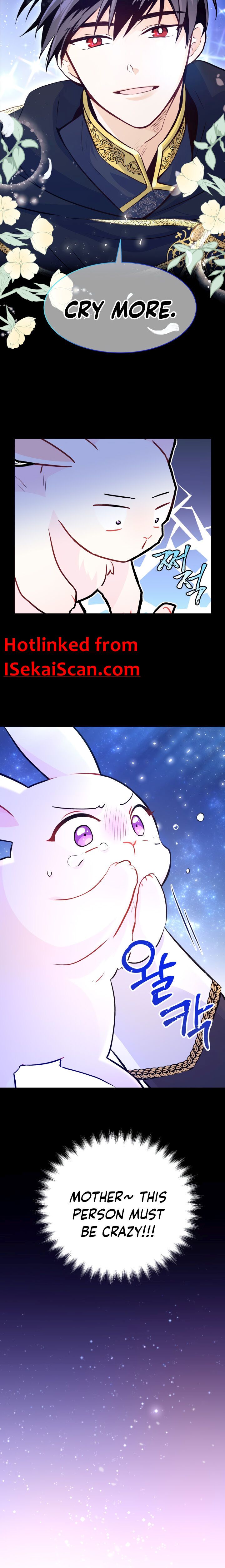 The Symbiotic Relationship Between the Rabbit and the Black Panther Chapter 1 - Page 3