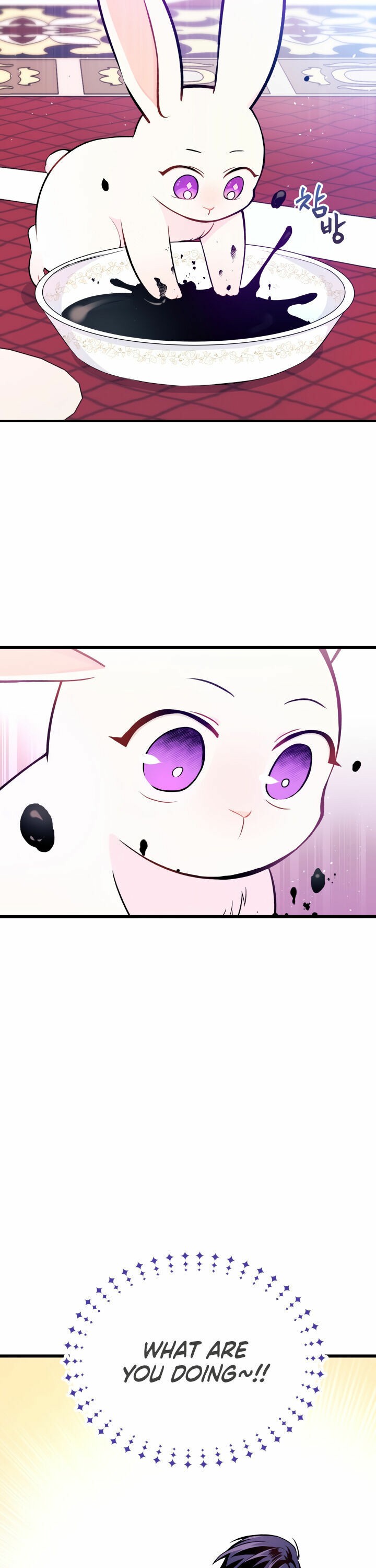 The Symbiotic Relationship Between the Rabbit and the Black Panther Chapter 10 - Page 13