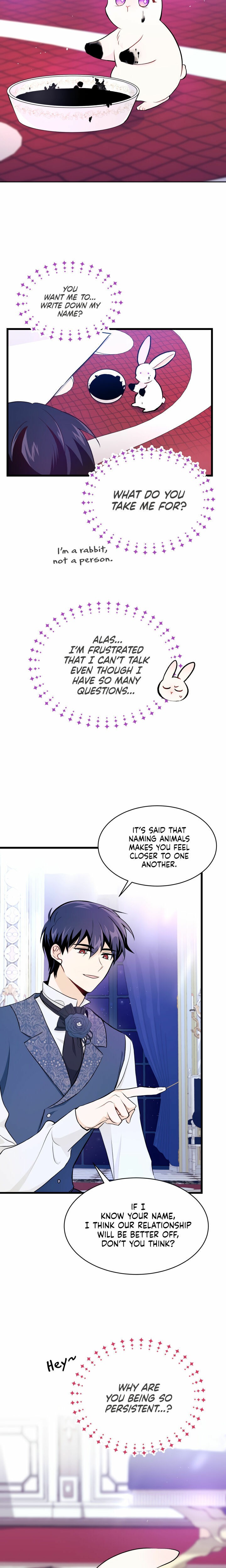 The Symbiotic Relationship Between the Rabbit and the Black Panther Chapter 10 - Page 15