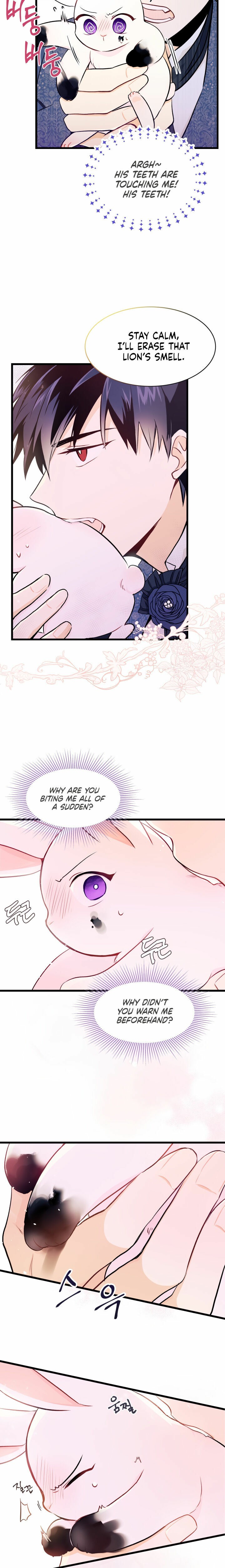 The Symbiotic Relationship Between the Rabbit and the Black Panther Chapter 10 - Page 21