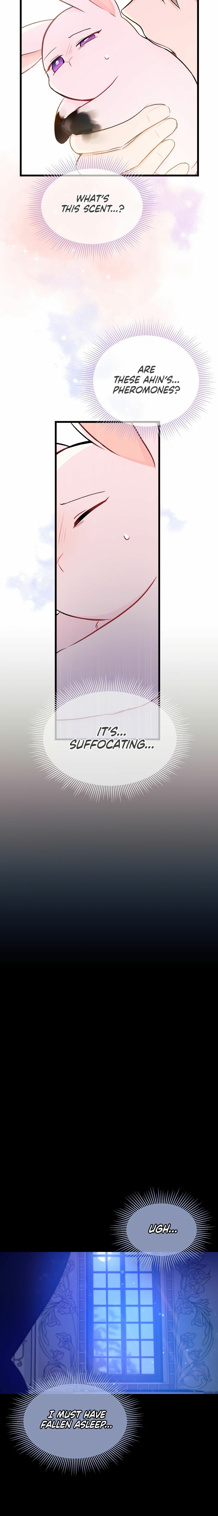The Symbiotic Relationship Between the Rabbit and the Black Panther Chapter 10 - Page 24