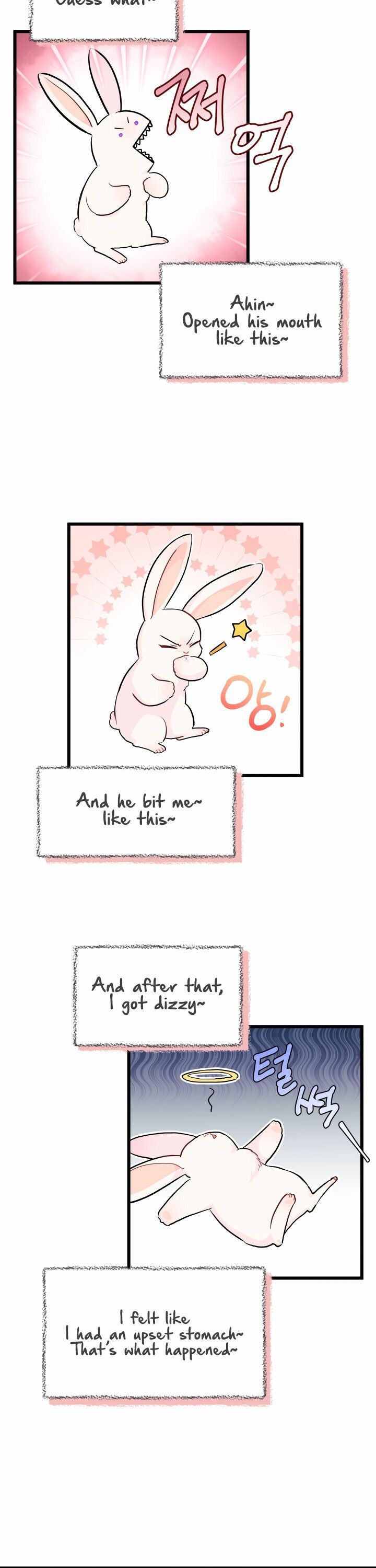 The Symbiotic Relationship Between the Rabbit and the Black Panther Chapter 11 - Page 20