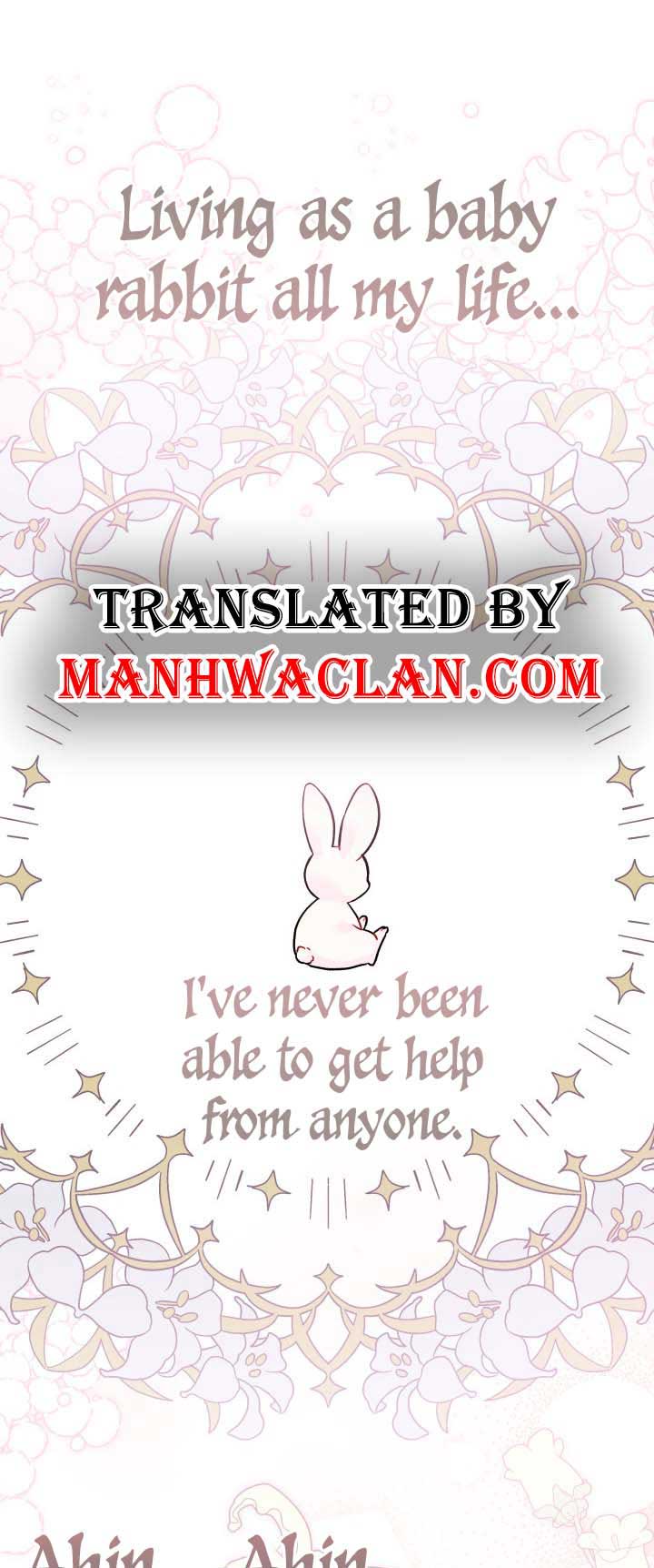 The Symbiotic Relationship Between the Rabbit and the Black Panther Chapter 114 - Page 1