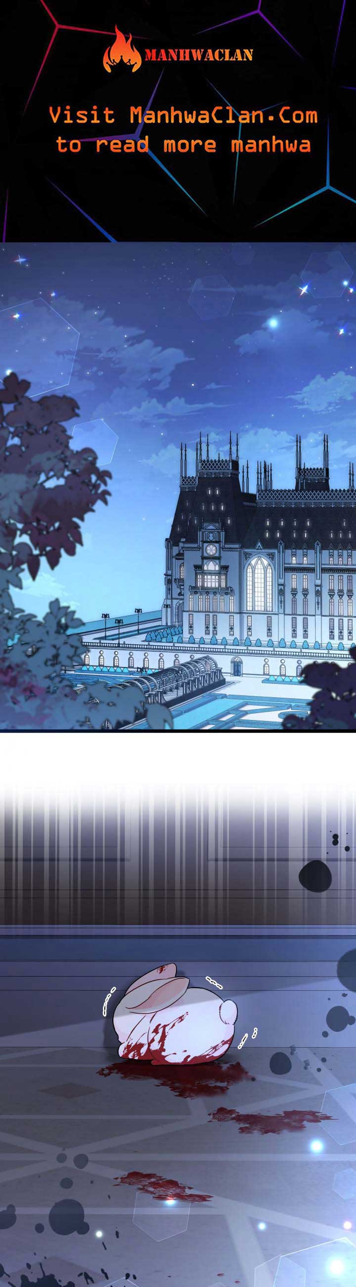 The Symbiotic Relationship Between the Rabbit and the Black Panther Chapter 117 - Page 1