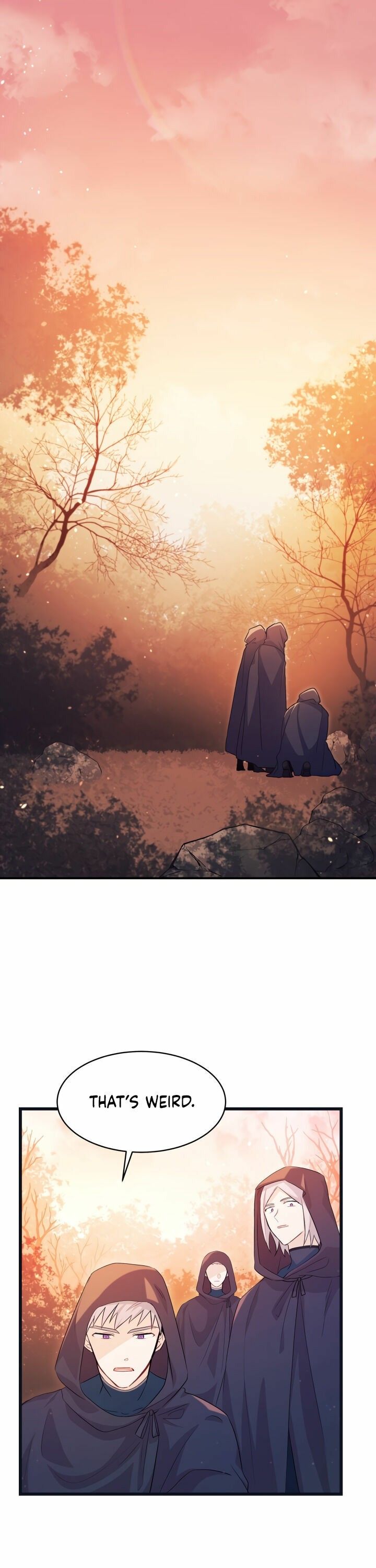 The Symbiotic Relationship Between the Rabbit and the Black Panther Chapter 12 - Page 1