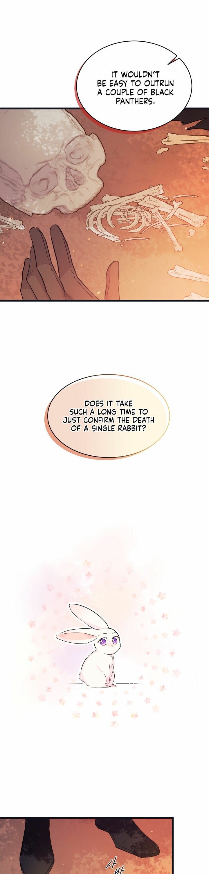 The Symbiotic Relationship Between the Rabbit and the Black Panther Chapter 12 - Page 2