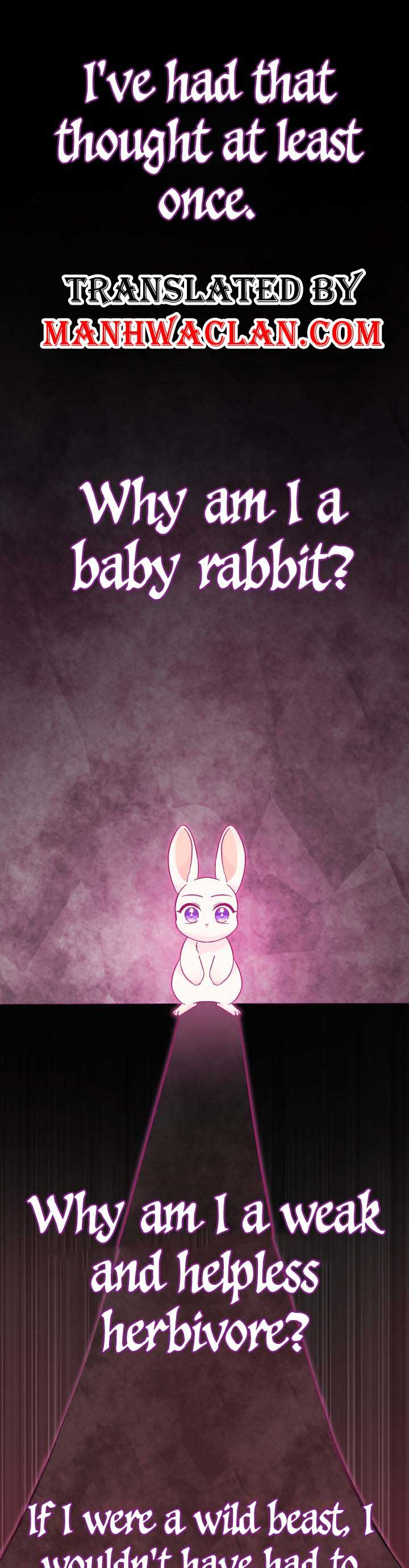 The Symbiotic Relationship Between the Rabbit and the Black Panther Chapter 120 - Page 1