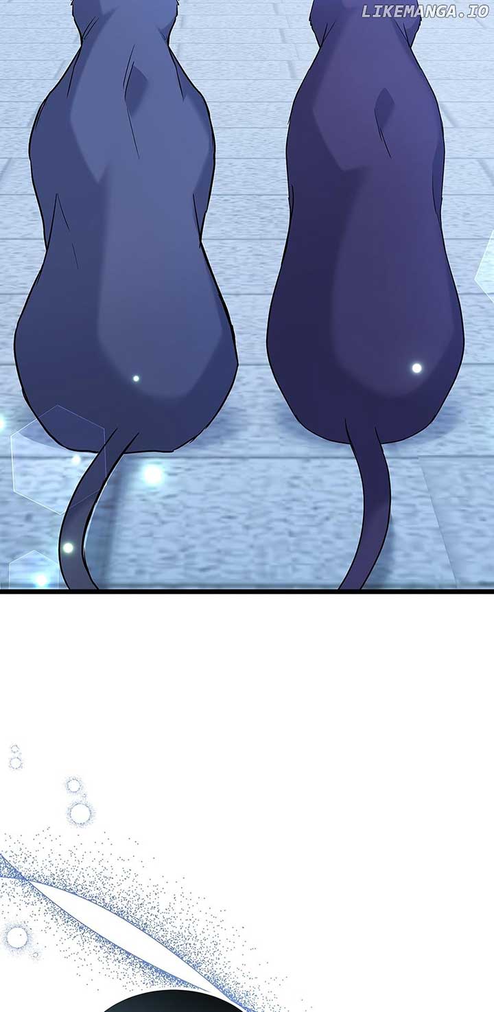 The Symbiotic Relationship Between the Rabbit and the Black Panther Chapter 125 - Page 59