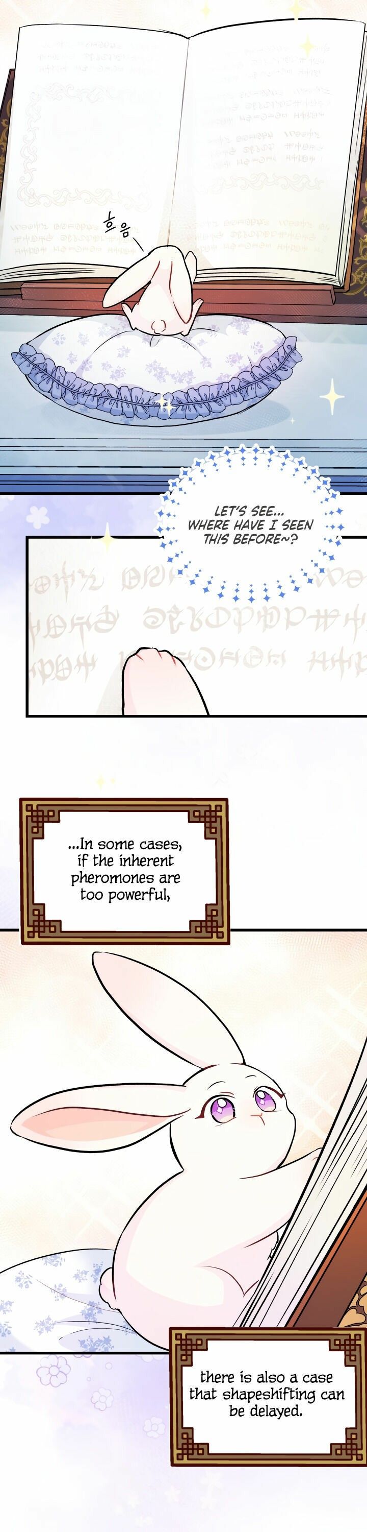 The Symbiotic Relationship Between the Rabbit and the Black Panther Chapter 13 - Page 16