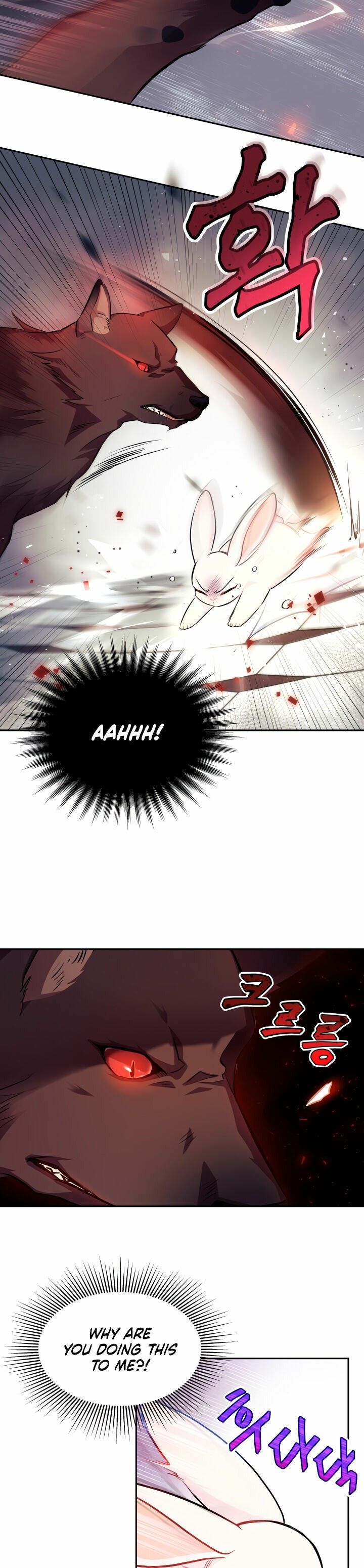 The Symbiotic Relationship Between the Rabbit and the Black Panther Chapter 14 - Page 17