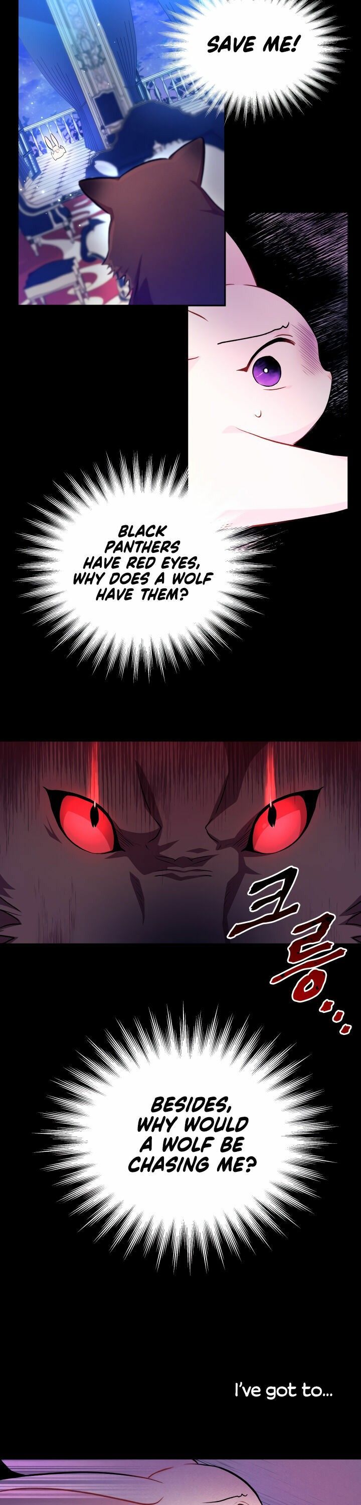 The Symbiotic Relationship Between the Rabbit and the Black Panther Chapter 14 - Page 4