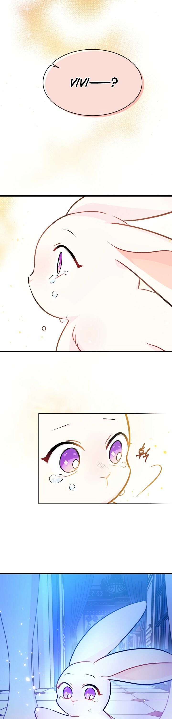 The Symbiotic Relationship Between the Rabbit and the Black Panther Chapter 14 - Page 8