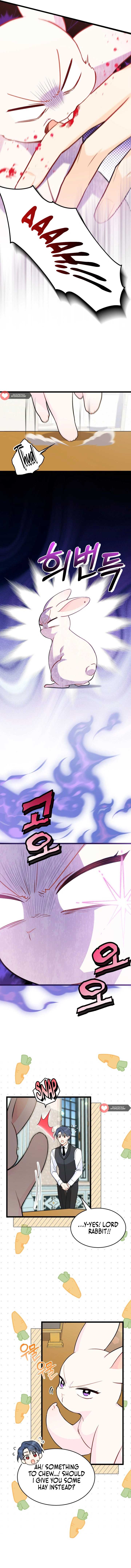 The Symbiotic Relationship Between the Rabbit and the Black Panther Chapter 152 - Page 2