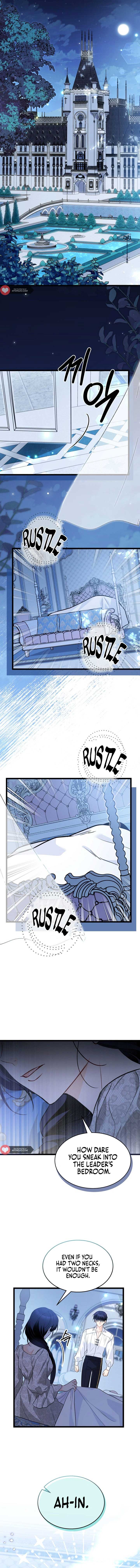 The Symbiotic Relationship Between the Rabbit and the Black Panther Chapter 152 - Page 5