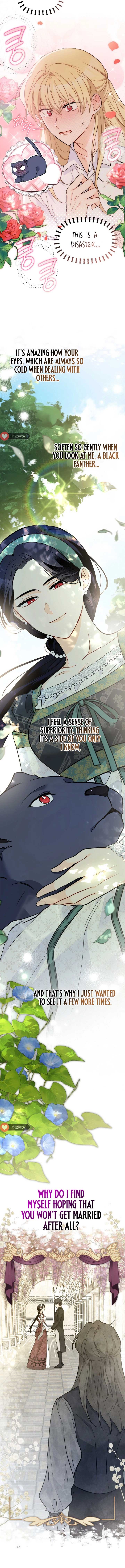 The Symbiotic Relationship Between the Rabbit and the Black Panther Chapter 153 - Page 12