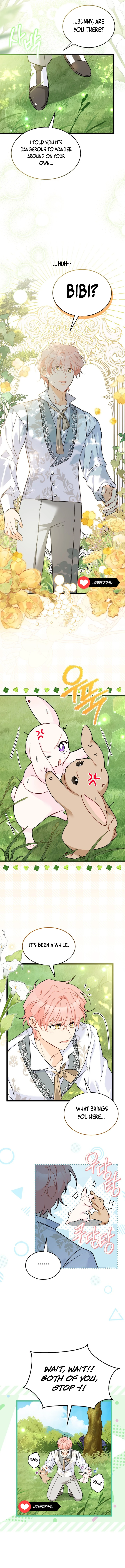 The Symbiotic Relationship Between the Rabbit and the Black Panther Chapter 155 - Page 8