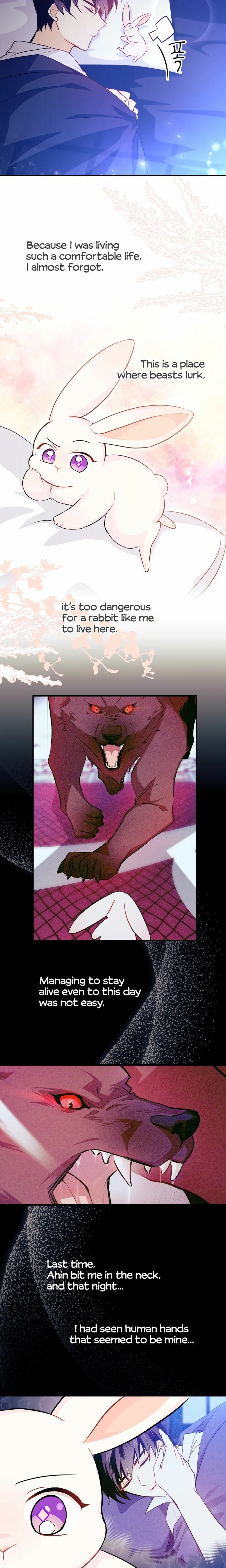 The Symbiotic Relationship Between the Rabbit and the Black Panther Chapter 16 - Page 12