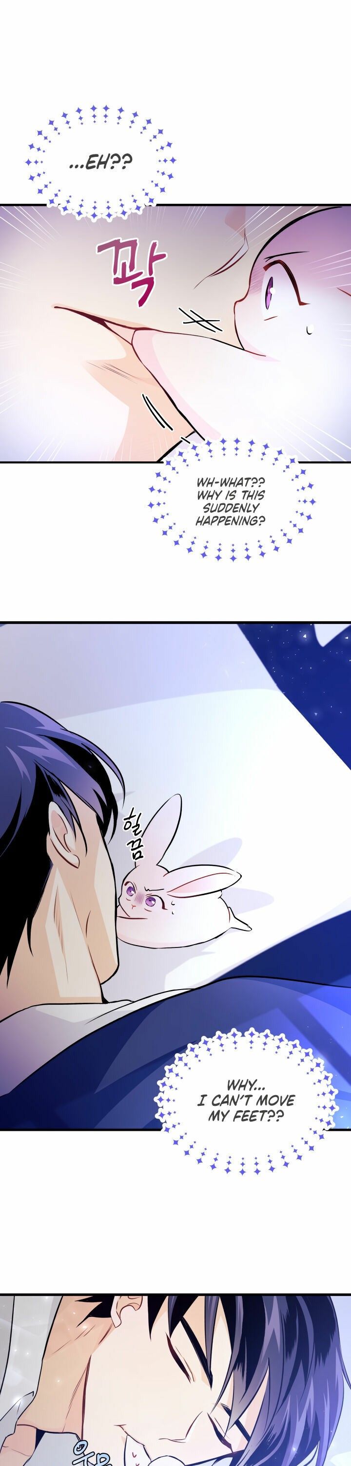 The Symbiotic Relationship Between the Rabbit and the Black Panther Chapter 16 - Page 17
