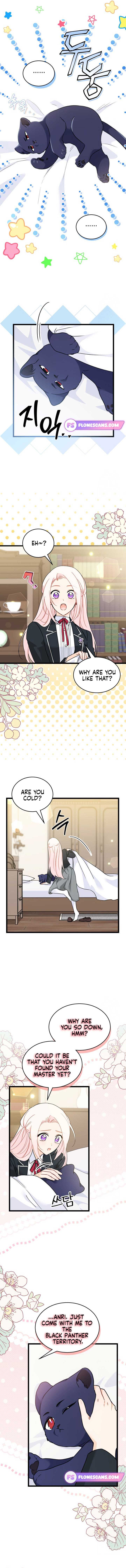 The Symbiotic Relationship Between the Rabbit and the Black Panther Chapter 165 - Page 5