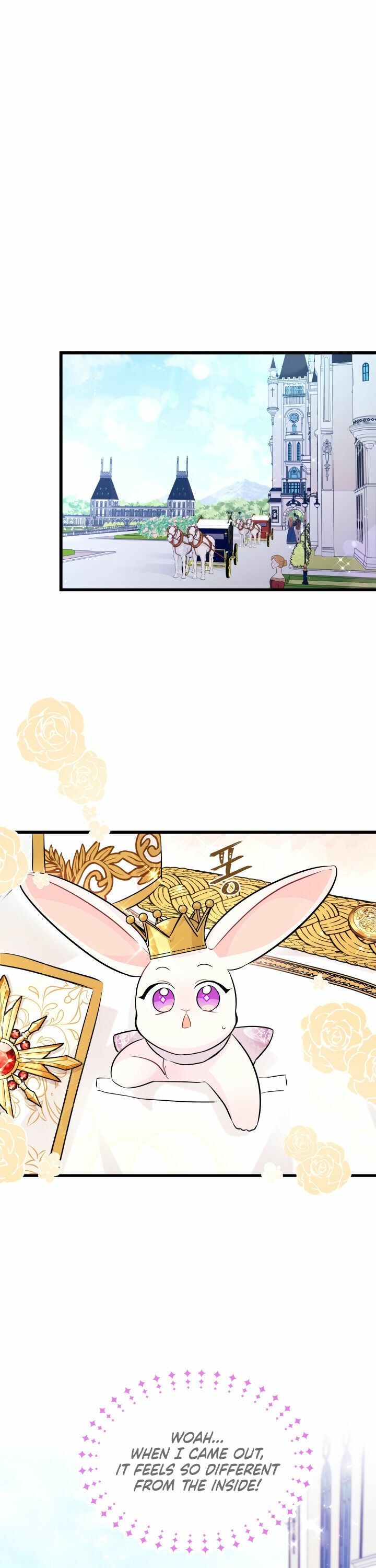The Symbiotic Relationship Between the Rabbit and the Black Panther Chapter 17 - Page 17