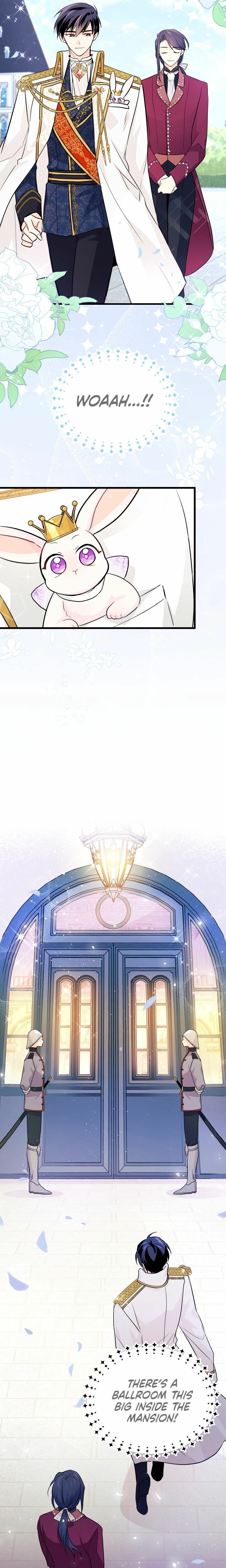 The Symbiotic Relationship Between the Rabbit and the Black Panther Chapter 17 - Page 21