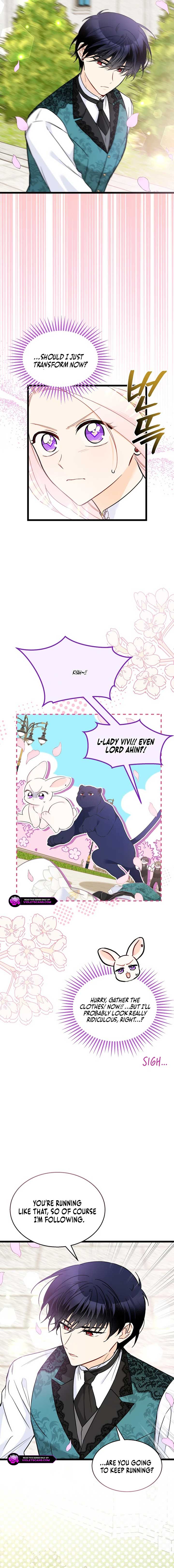 The Symbiotic Relationship Between the Rabbit and the Black Panther Chapter 179 - Page 3