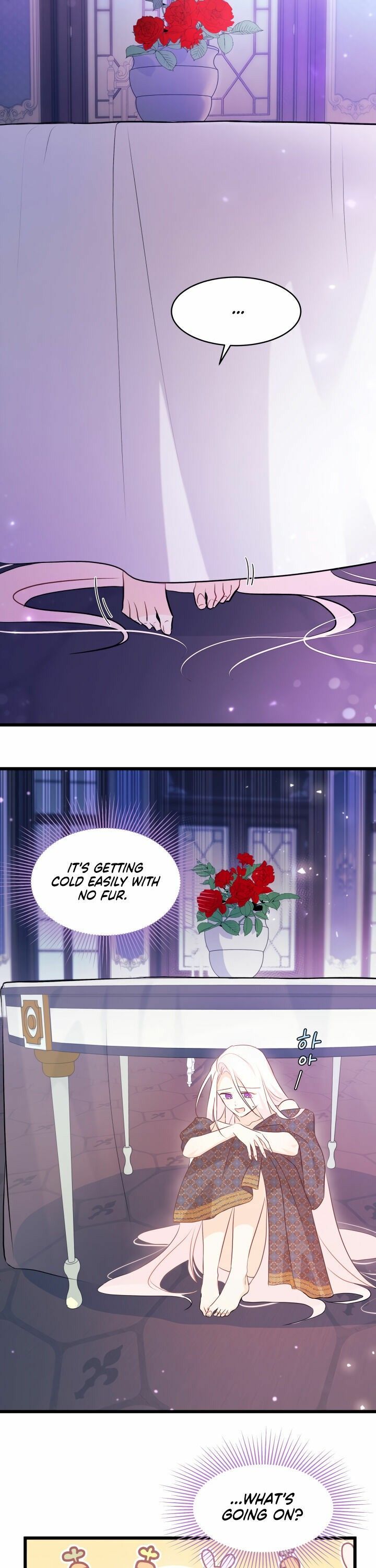 The Symbiotic Relationship Between the Rabbit and the Black Panther Chapter 19 - Page 15