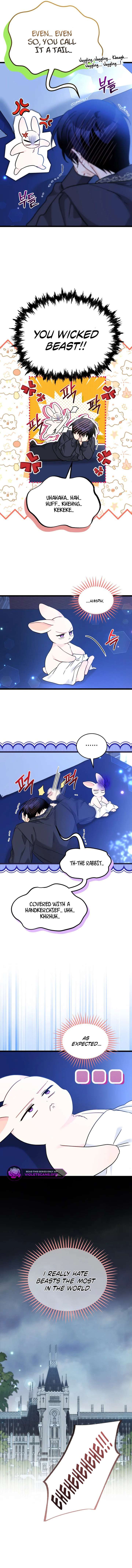 The Symbiotic Relationship Between the Rabbit and the Black Panther Chapter 199 - Page 9