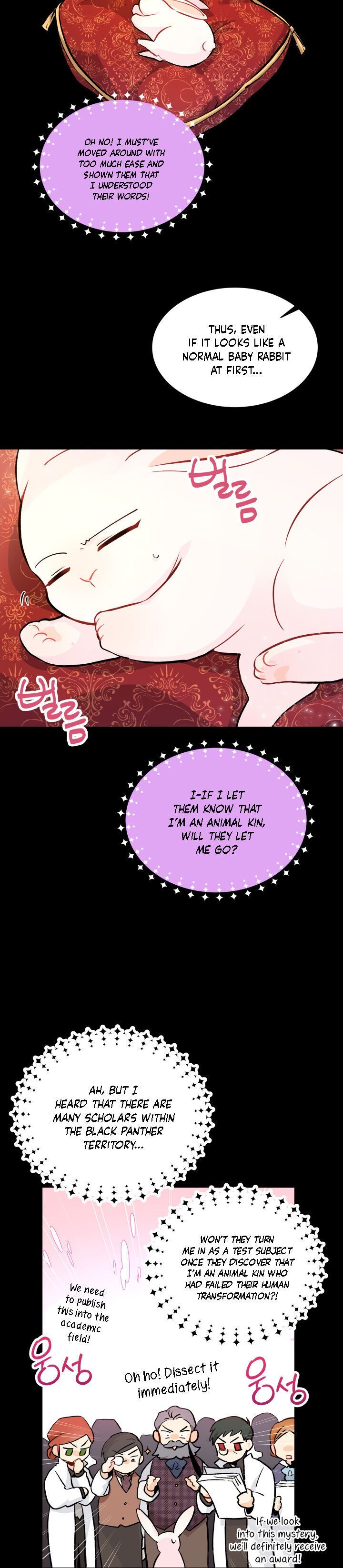 The Symbiotic Relationship Between the Rabbit and the Black Panther Chapter 2 - Page 14