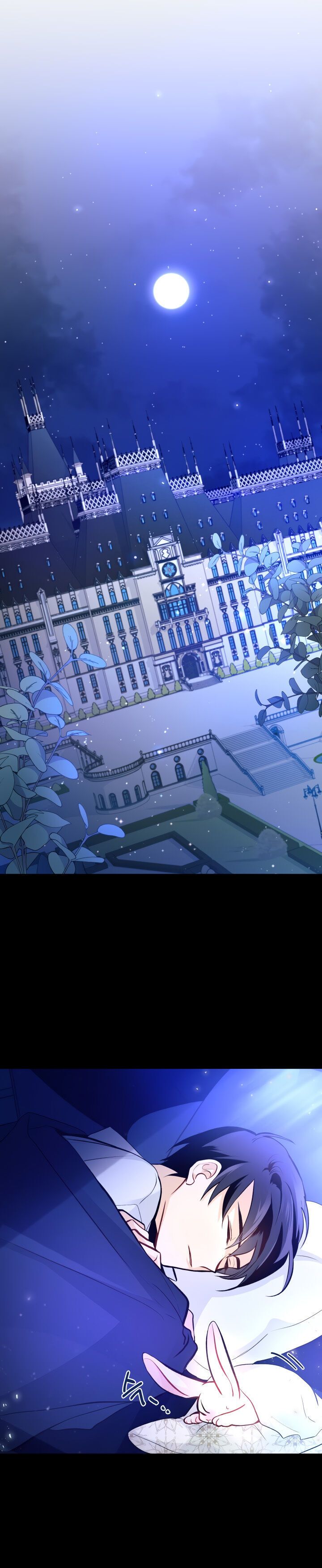 The Symbiotic Relationship Between the Rabbit and the Black Panther Chapter 2 - Page 24
