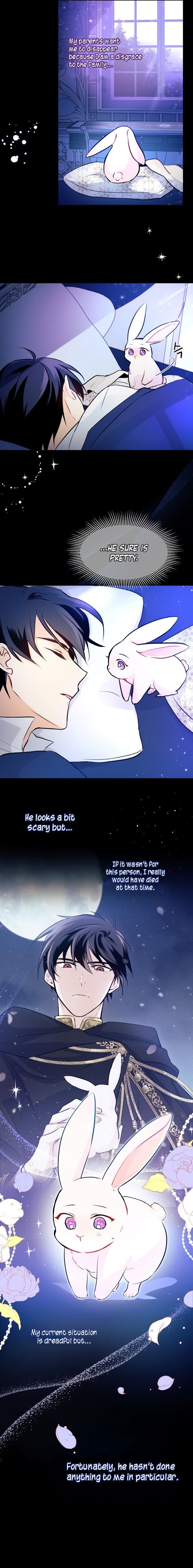 The Symbiotic Relationship Between the Rabbit and the Black Panther Chapter 2 - Page 26