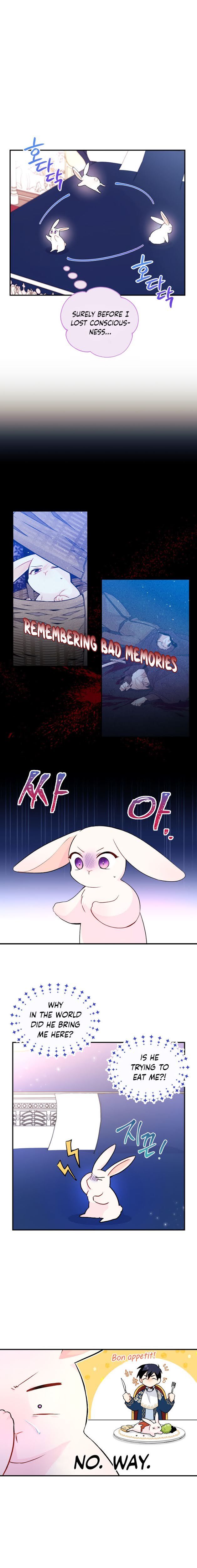 The Symbiotic Relationship Between the Rabbit and the Black Panther Chapter 2 - Page 3
