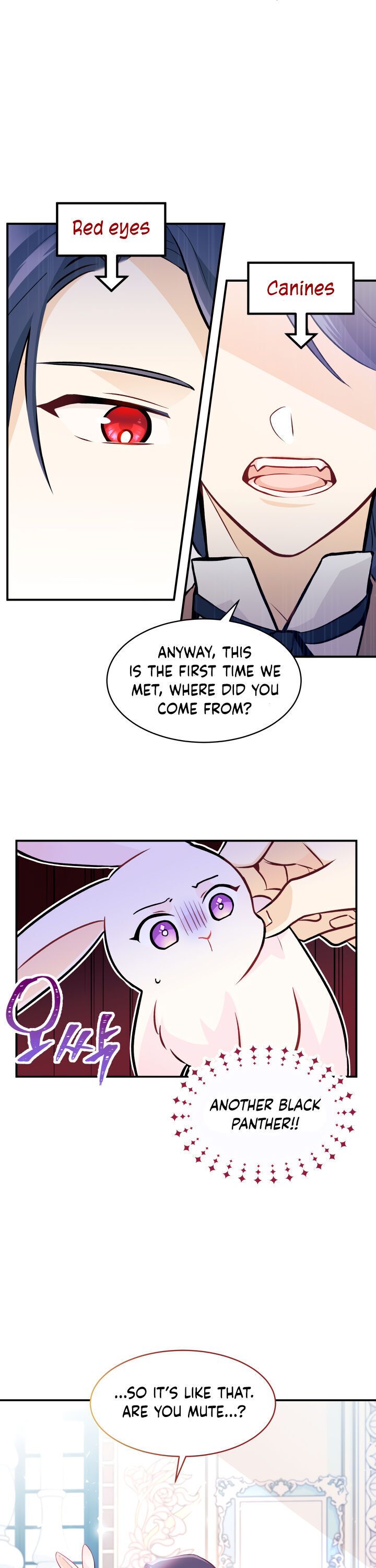 The Symbiotic Relationship Between the Rabbit and the Black Panther Chapter 2 - Page 8