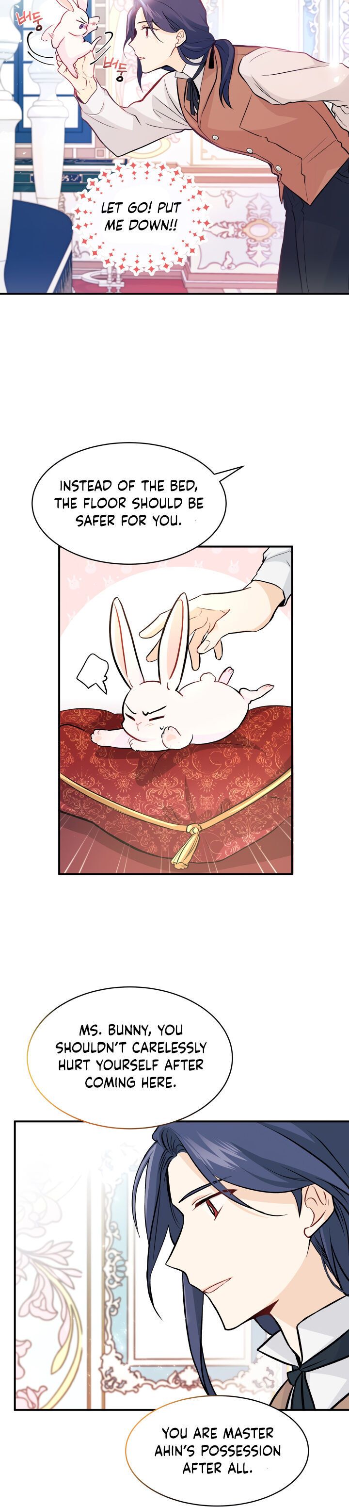 The Symbiotic Relationship Between the Rabbit and the Black Panther Chapter 2 - Page 9