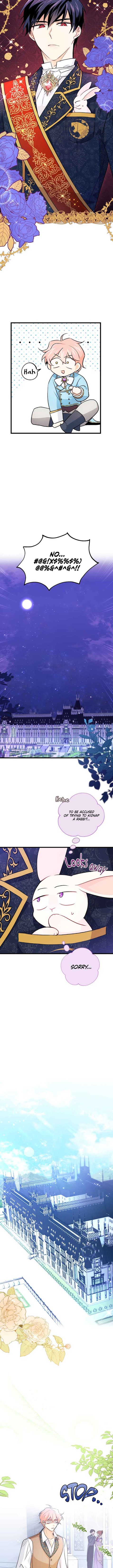 The Symbiotic Relationship Between the Rabbit and the Black Panther Chapter 21 - Page 10