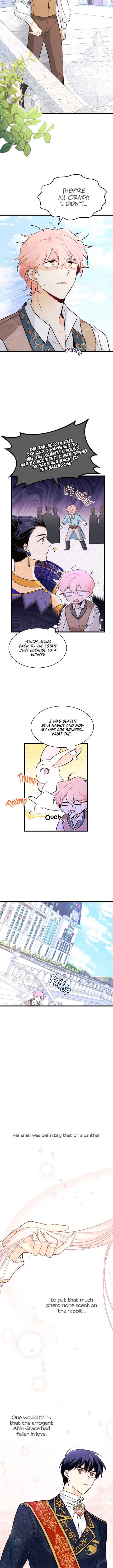 The Symbiotic Relationship Between the Rabbit and the Black Panther Chapter 21 - Page 11