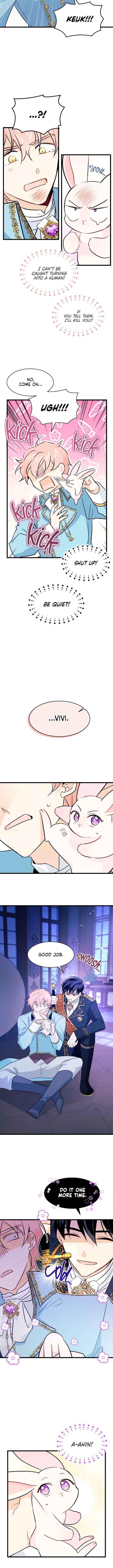 The Symbiotic Relationship Between the Rabbit and the Black Panther Chapter 21 - Page 8