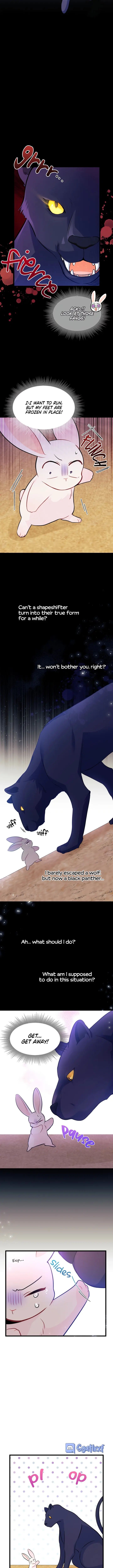 The Symbiotic Relationship Between the Rabbit and the Black Panther Chapter 23 - Page 4