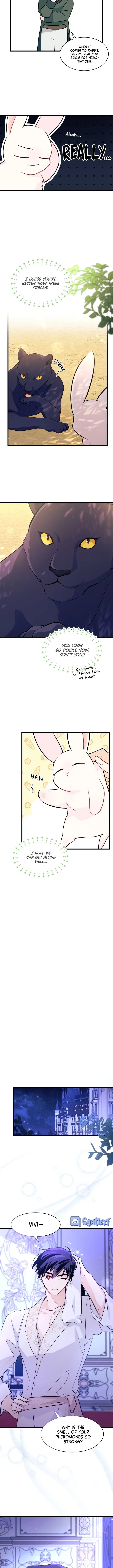 The Symbiotic Relationship Between the Rabbit and the Black Panther Chapter 23 - Page 8