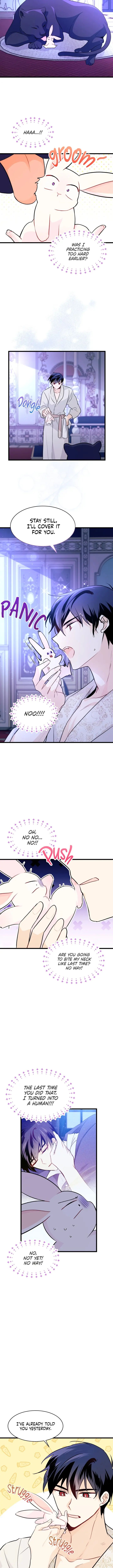 The Symbiotic Relationship Between the Rabbit and the Black Panther Chapter 23 - Page 9