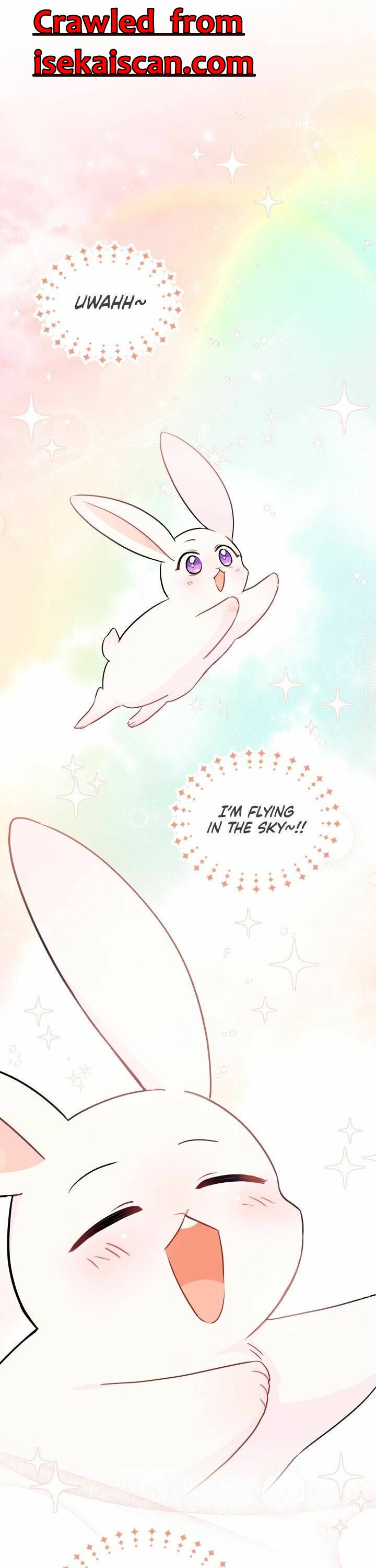 The Symbiotic Relationship Between the Rabbit and the Black Panther Chapter 25 - Page 1