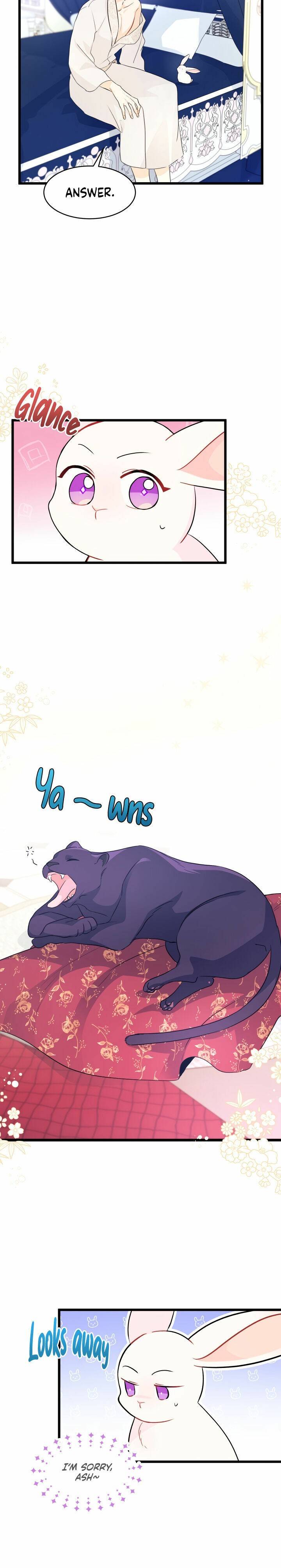 The Symbiotic Relationship Between the Rabbit and the Black Panther Chapter 25 - Page 8